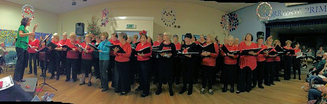 Friends & Family 2015