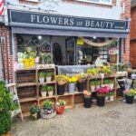 Flowers of Beauty (Flowers of Beauty – Blooms and Plants) Flowers of Beauty (Flowers of Beauty – Blooms and Plants)