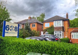 608 vet practice shop front